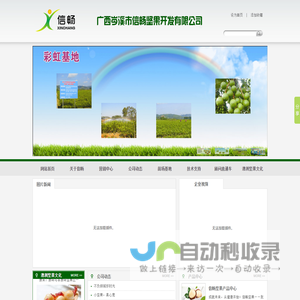 岑溪市信畅坚果开发有限公司